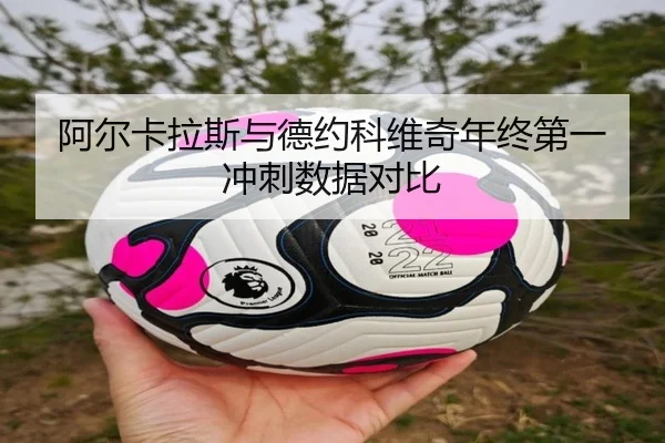 阿尔卡拉斯与德约科维奇年终第一冲刺数据对比